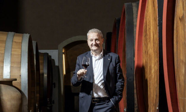 Cantine Vitevis, Gianfranco Gambesi è il nuovo direttore generale