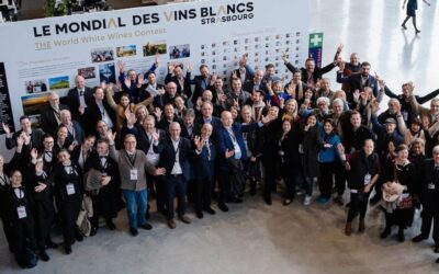 Mondiale dei Vini Bianchi a Strasburgo. Aperte le iscrizioni 2025 anche ai no-low alcool.