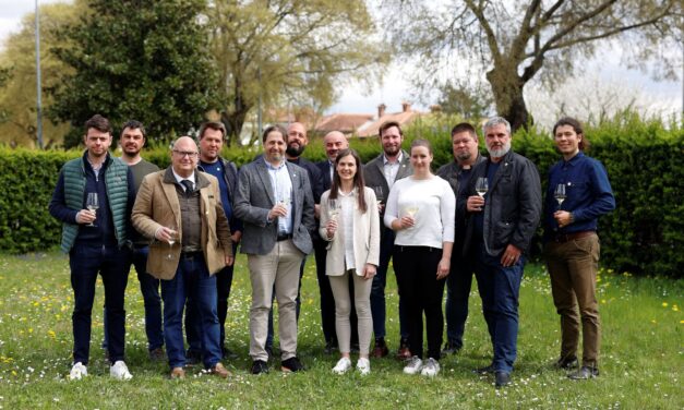 Consorzio Vini Collio, Luca Raccaro è il nuovo presidente