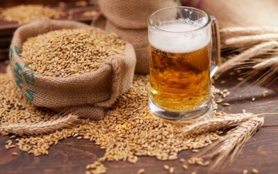 Assobirra, nel 2024 l’Italia ha confermato la sua produzione brassicola a 17 milioni di ettolitri. Consumi leggermente in calo