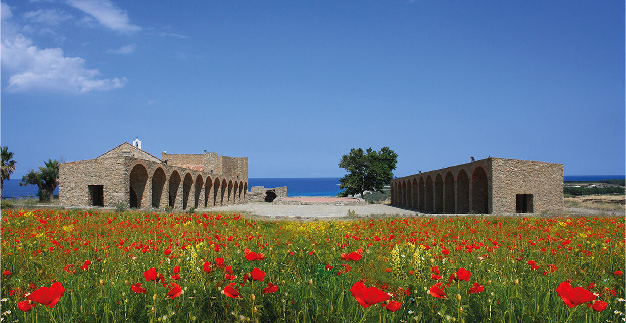 Calabria, il Cirò diventa DOCG e lo festeggia il 10 agosto