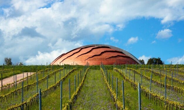 Il Carapace, un vino che ti porta dentro un’opera d’arte