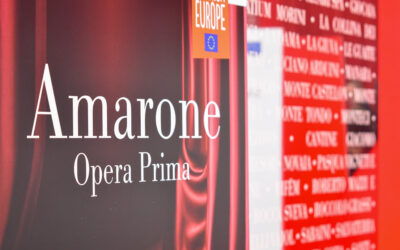 Amarone, ecco l’annata 2021 e le nostre cinque scelte