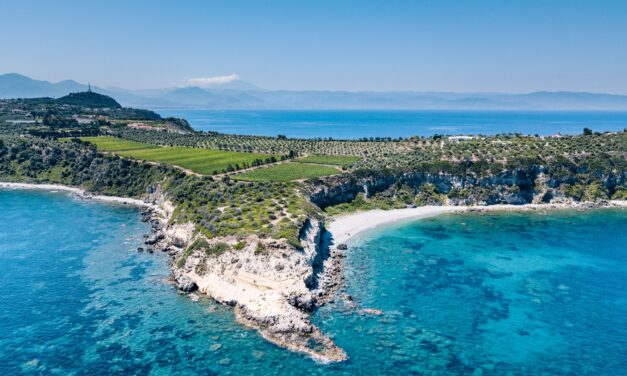 Sicilia, vendemmia 2025 all’insegna dell’armonia nel vigneto bio più grande d’Italia