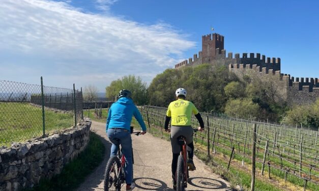 Wine Bike Loop diventa itinerante. Dalla Valpolicella alle Marche