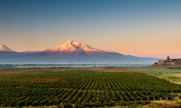 Armenia, la rinascita della culla del vino