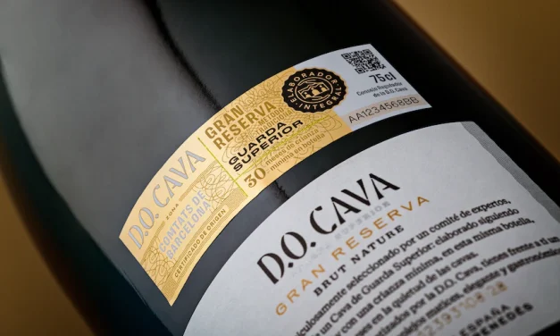 DO Cava, il 2025 è un altro anno di sofferenza: meno 12,8% nelle vendite (meno 23% in Europa).