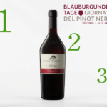 Giornate del Pinot Nero 2026. Tutte le nostre valutazioni dei vini in concorso.