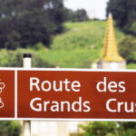 La Route des Grands Crus in Borgogna si prepara al leggendario anniversario dei 90 anni